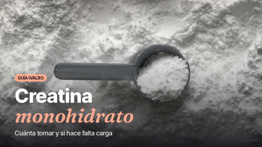 Cacito con creatina monohidrato en polvo, portada de la guía de creatina de Ivalro