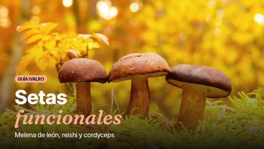 Setas en el suelo de un bosque, portada de la guía de setas funcionales