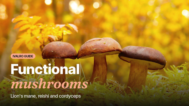 Mushrooms growing on a forest floor, cover of the functional mushrooms guide